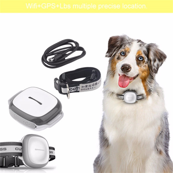 NEW MODEL! Wireless GPS DogFinder Collar