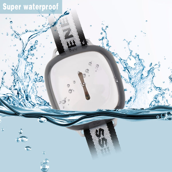 NEW MODEL! Wireless GPS DogFinder Collar